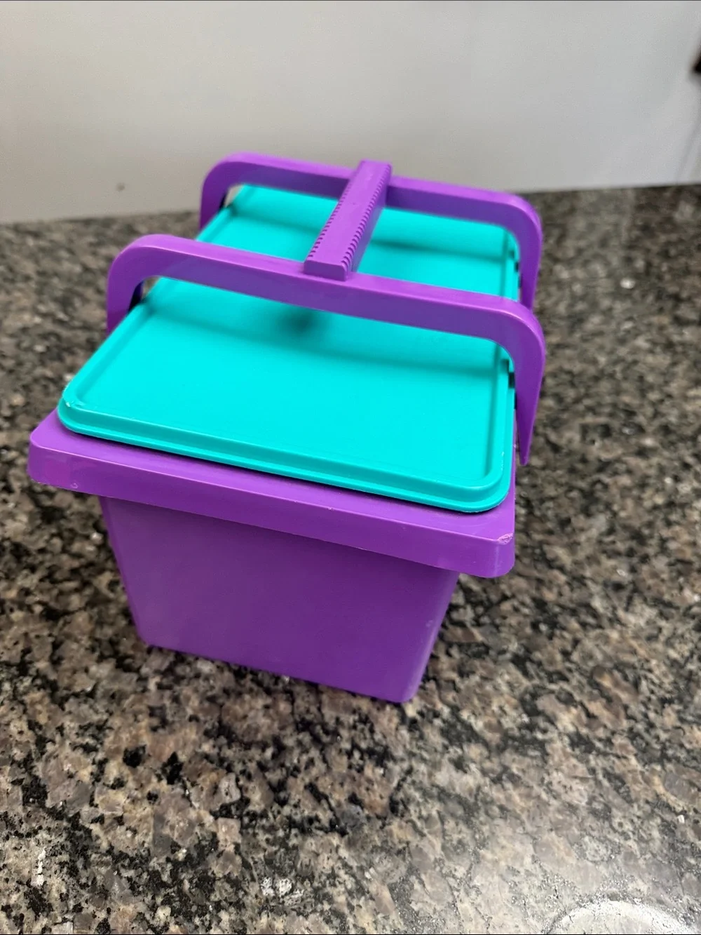 Tupperware Purple Container with Teal Lid and handle